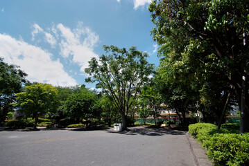 谷戸イチョウ公園（西東京市谷戸町）