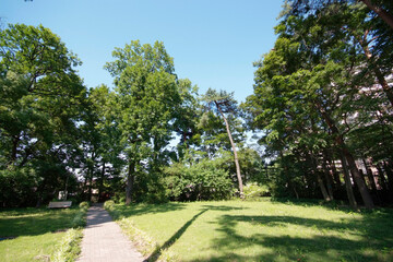 発想の森（西東京市谷戸町）