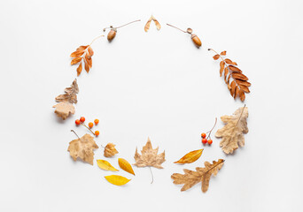 Beautiful autumn composition on white background