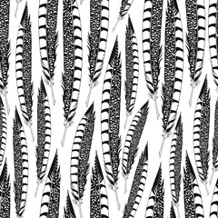 Monochrome background of pheasant feathers