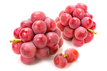 クイーンニーナ葡萄