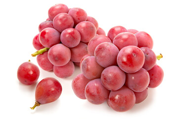 クイーンニーナ葡萄