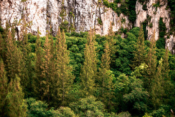 Panoramic nature background (mountains, sea, trees, twilight lights in the sky, waterfront communities), naturally blurred through the wind, seen on tourist spots or scenic spots