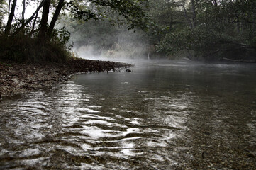 森の中を流れる川。早朝に川面から立ち上る朝霧。
