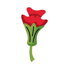 beautiful rose flower garden flat style icon