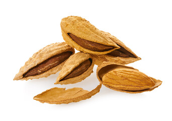 almonds shell with clipping path