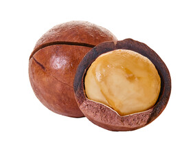 macadam nuts with clipping path