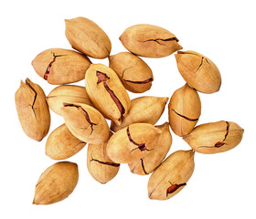 heap of pecans with clipping path