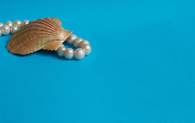 Marine layout. Shell and pearl beads on a blue background.