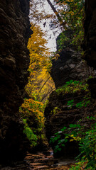 light in the cave