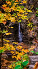 waterfall in autumn