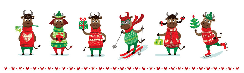 Chinese new year of white ox 2021 zodiac - vector set bulls or cows, flat cartoon animals for holiday cards, posters and home decorations, cute characters with for luck isolated on white background.