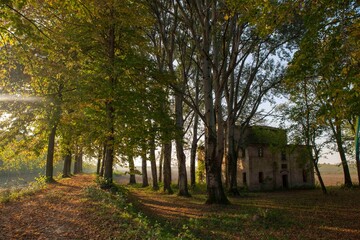 Fototapeta premium La casa nel bosco