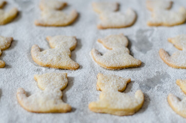 czech christmas cookies in animal shapes