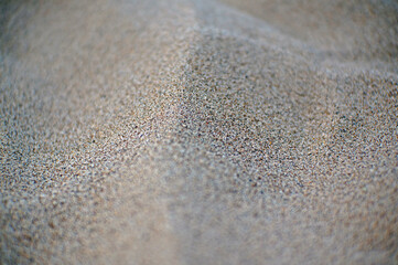 Close-up photo of sand. The sand texture is perfect as a background.        
