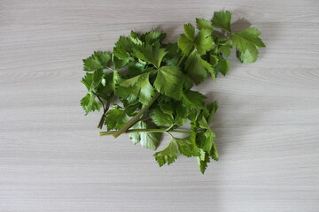 fresh parsley on wooden table