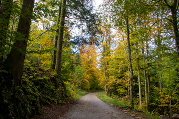 Waldweg