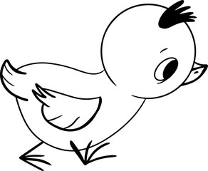 Little chicks isolated on white background .Cute baby chick, hand drawn vector illustration.Character chicks, line art, black and white drawing illustration for kids. Coloring Page for Children.