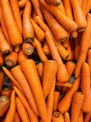 Carrots are arranged for background design. Piles of fresh vegetables to create designs about agriculture, food, nature, & healthy living.