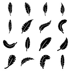 Fototapeta premium feather icon vector symbol