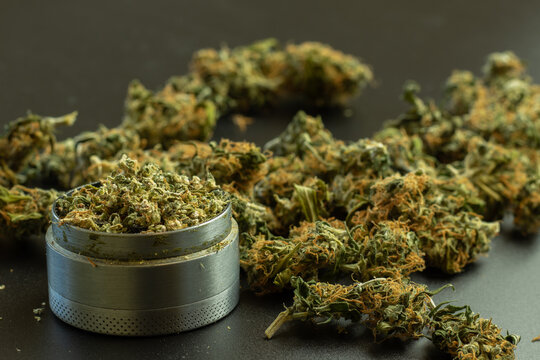 Marijuana buds on background with blur, grinder with cannabis, copy space