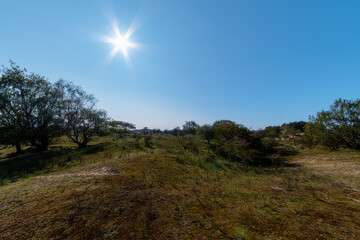 Example of sunny Dutch grassland in early autumn, Leiden, NL