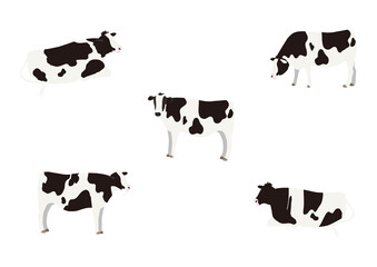 牛のイラスト　セット
