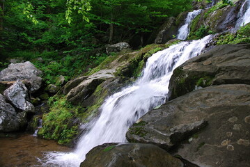 Wasserfall im Shenandoah National Park, Virginia
