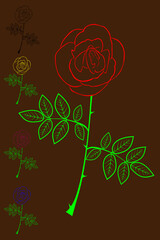 Rose vector illustration color set