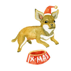 Chihuahua cute dog in Christmas cap watercolor illustration