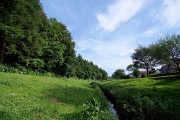 東山ふれあい樹林（横浜市瀬谷区宮沢）