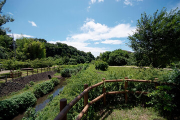 和泉川と里山の風景（横浜市瀬谷区）