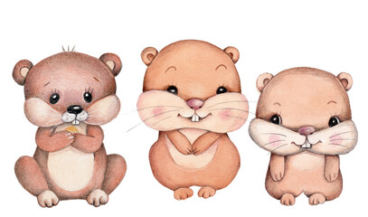 Cute cartoon marmots groundhogs. Watercolor illustration, icon.