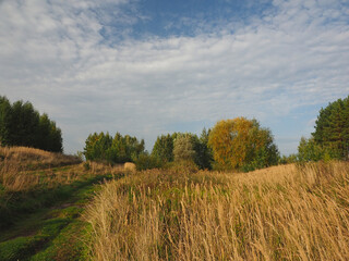 Fototapeta premium Field road. Trees, Autumn. Ural. Russia. Perm Territory, Elovo