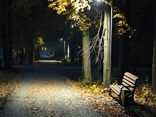 Night autumn park. Lanterns. Bench. Fall. Ural. Russia. Perm Territory, Elovo