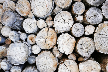 Fototapeta premium old firewood texture
