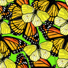 Butterfly pattern. Hand drawing, watercolor painting on paper.