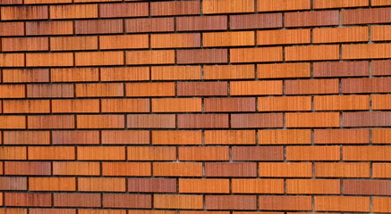 2020年10月6日撮影：めじろ台の住宅の壁
