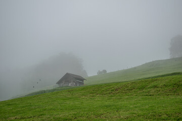 Beautiful swiss alps mountains. Alpine meadows.  