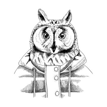 Hand drawn dressed up owl in hipster style