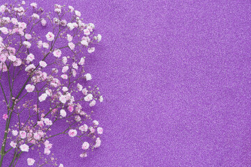 Obraz premium a branch of pink gypsophila on lilac bles. copy space..