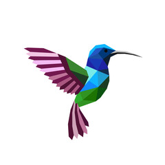 Geometric polygonal hummingbird. Abstract colorful animal. Vector illustration.	
