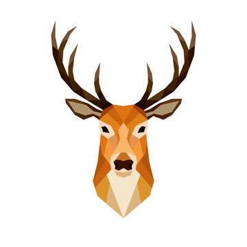 Geometric polygonal head deer. Abstract colorful animal. Vector illustration.	
