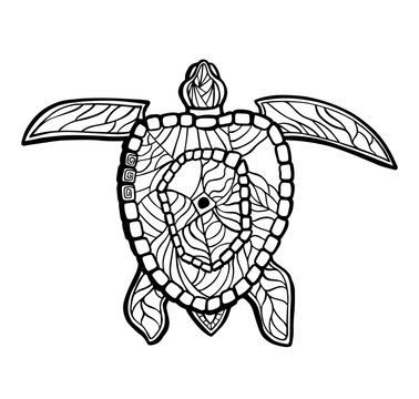 Vector hand-drawn illustration of a turtle. Anti - stress coloring book. Isolated background.