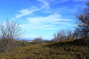 In der Rhön