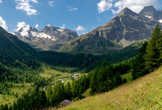 Val Viola 2 - Valtellina