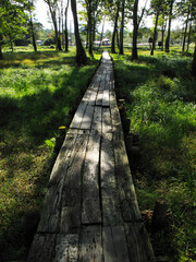 大沼公園と木道
