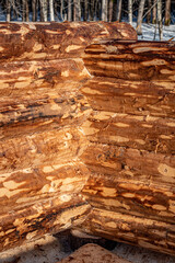 Interior view of a house made of logs