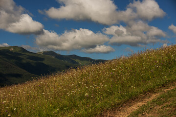 Wonderful mountain landscape. Flower glades, green mountains and beautiful clouds