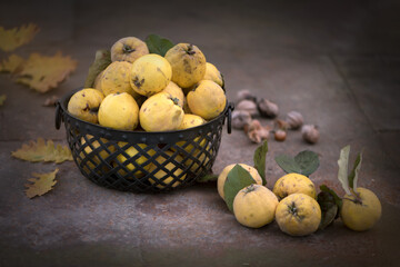 Autumn harvest of quince tree and nuts